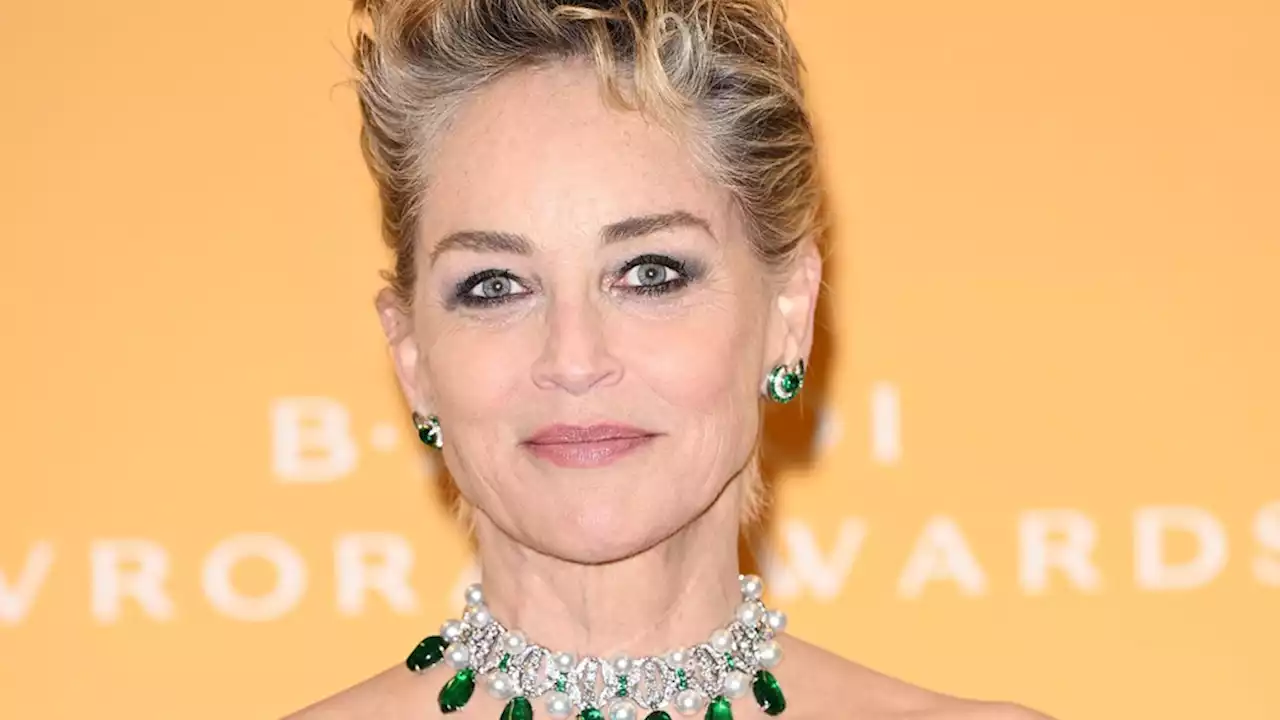 Sharon Stone Joins DC’s ‘Blue Beetle’ as Villain