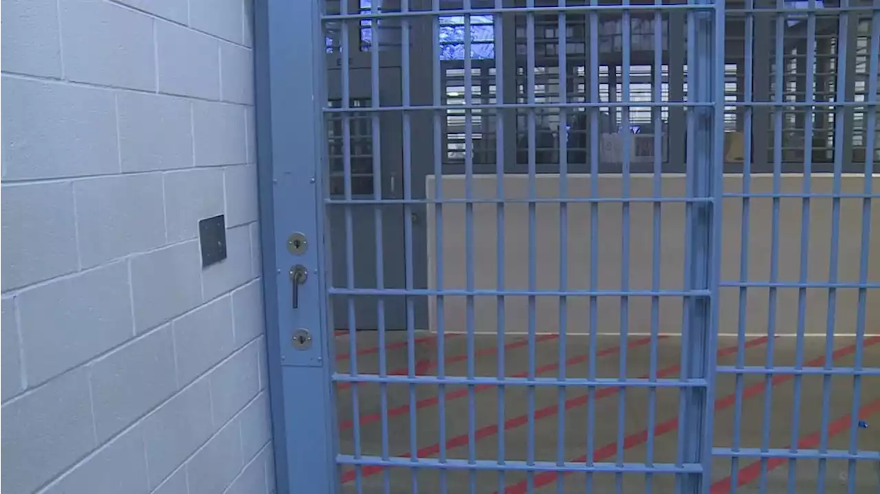 Bay County Jail handles numerous bookings over the weekend