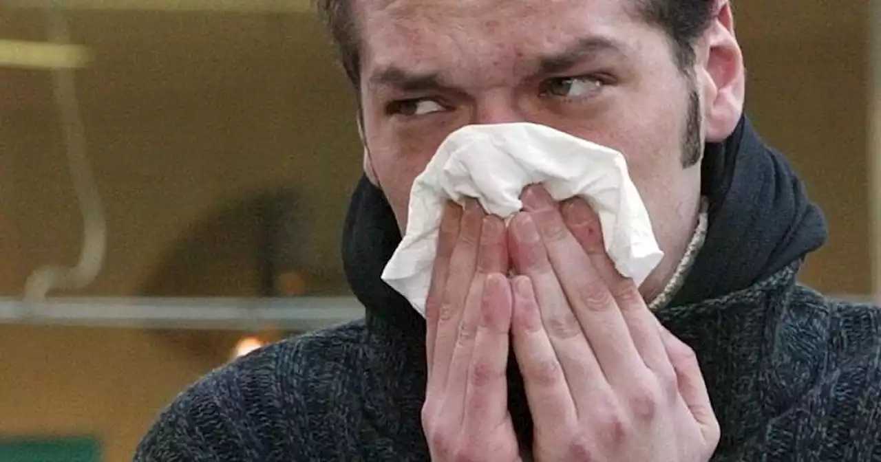 San Diego County reports increase in flu cases