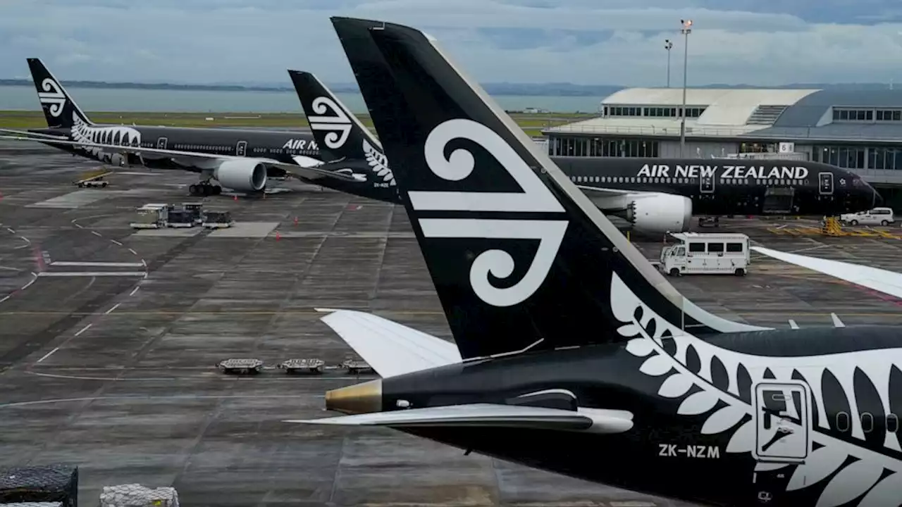 New Zealand airline plans to raise $1.5 billion to rebuild