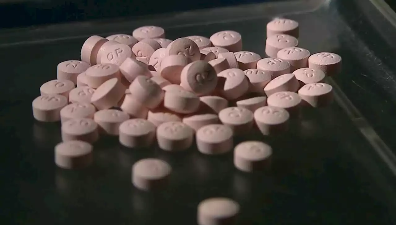 Nearly 5,000% increase in seized fentanyl-laced pills in the US between 2018 and 2021, study says