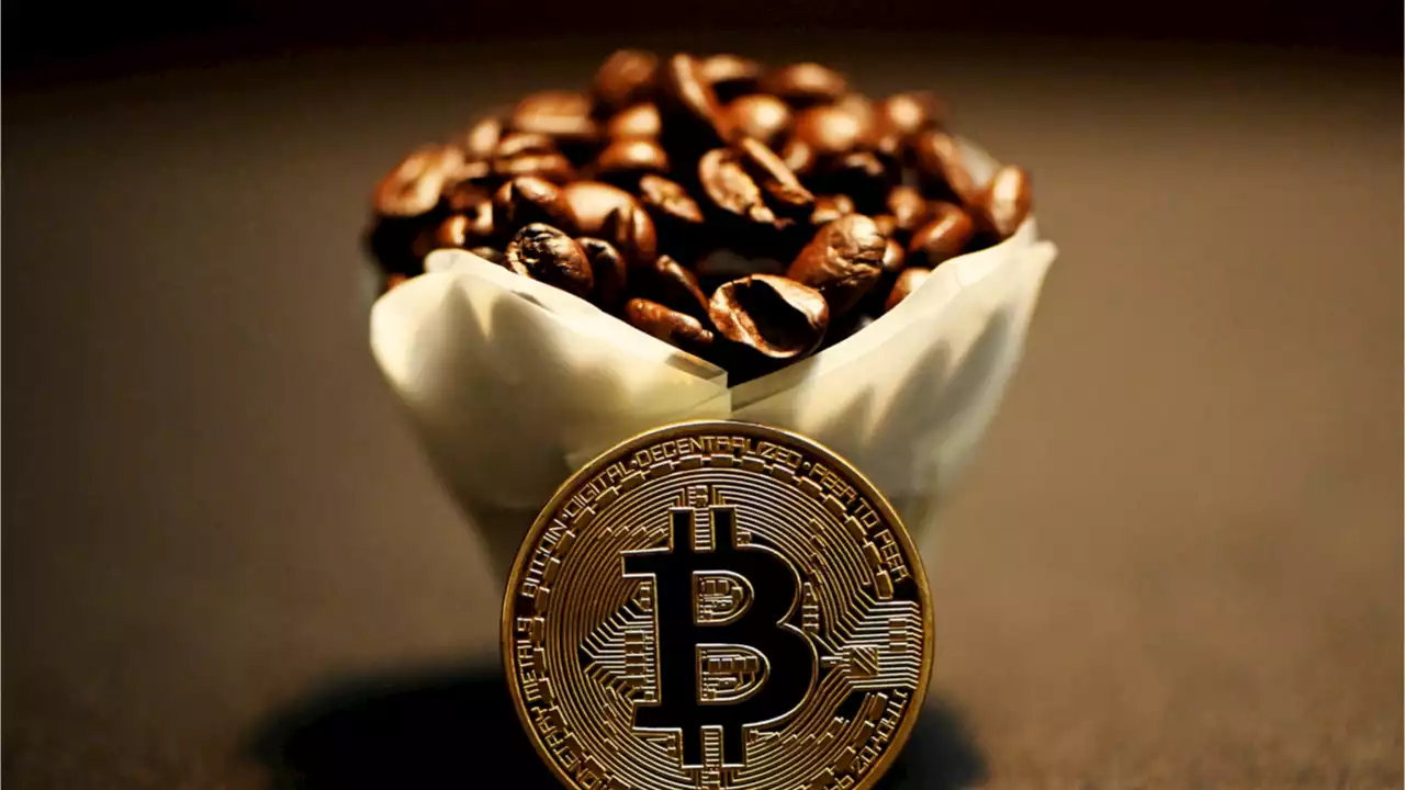 Dubai Café Accepts Cryptocurrency as Payment, Owner Hints at Paying Employee Salaries in Crypto – Emerging Markets Bitcoin News