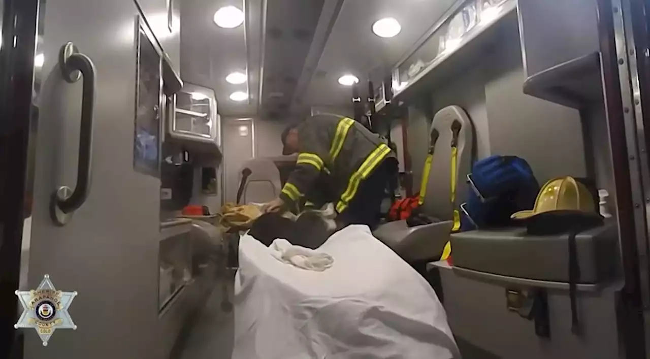 DRAMATIC VIDEO: Dogs Saved From RV Fire In Arapahoe County