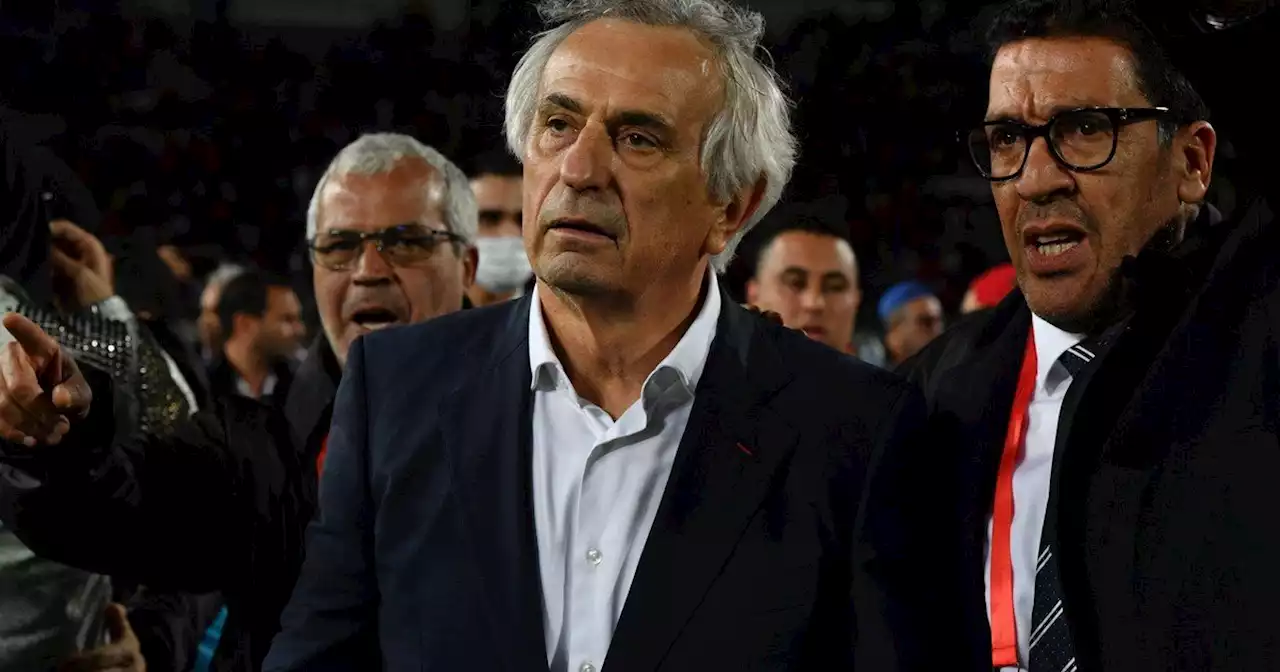 Quién es Vahid Halilhodzic, el primer DT en clasificar a cuatro selecciones diferentes a un Mundial