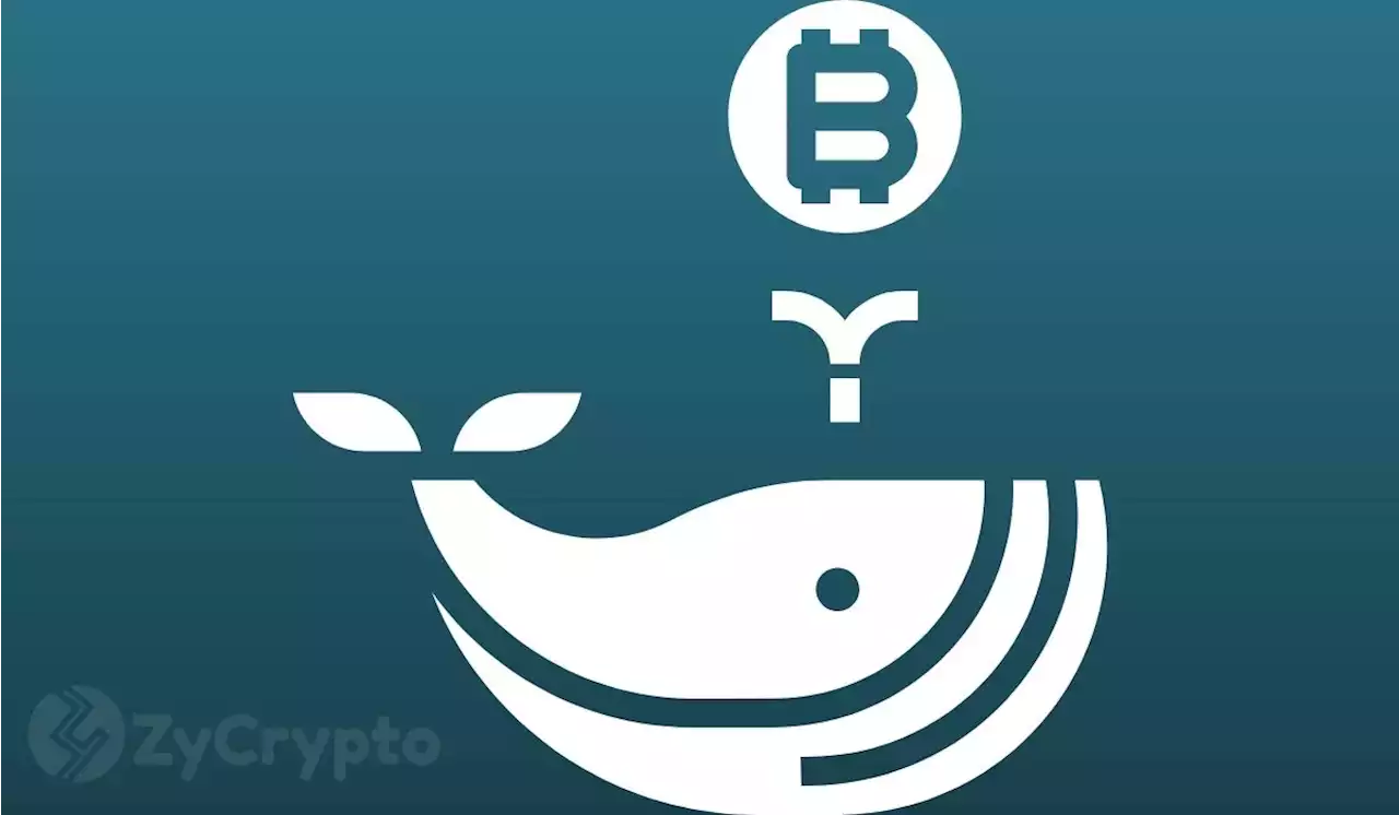 Bitcoin Sees Largest 4-Hour Interval of Whale Transactions Since March 1st As Price Holds Steady