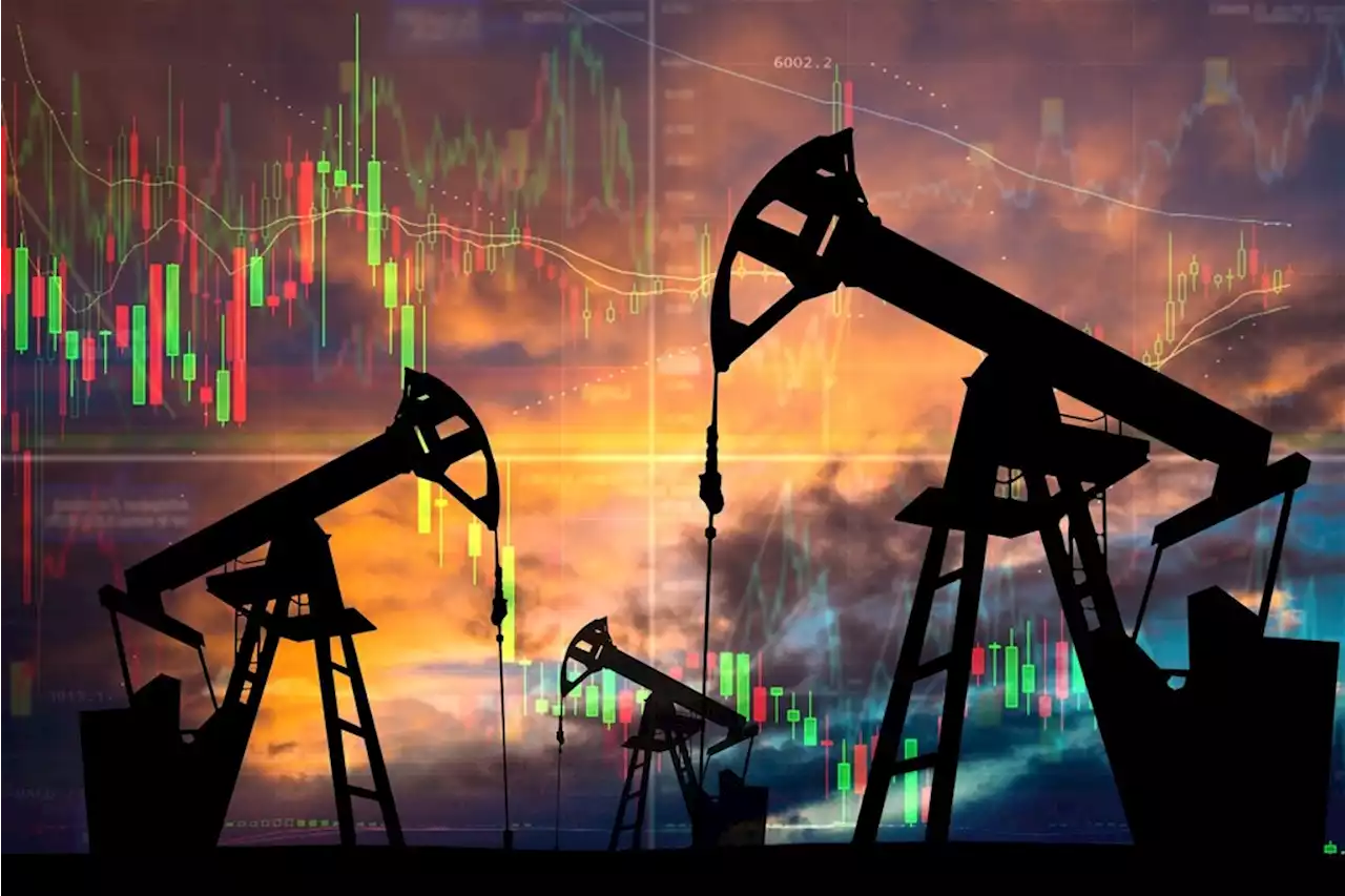 Oil tumbles as Biden considers releasing 180 million barrels from US reserves | Fin24