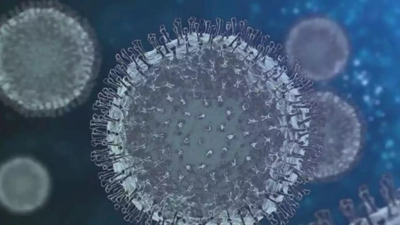 BA.2 subvariant is the dominant strain in Washington