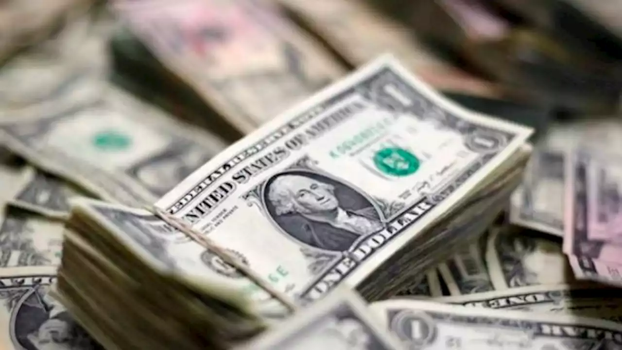 Dólar blue: a cuánto cotizó el 30 de marzo en los últimos años