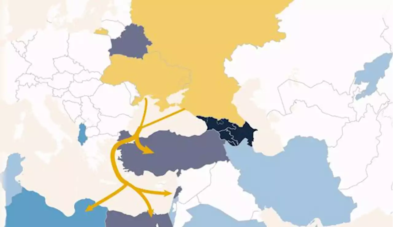 INFOGRAPHIES. Blé, tournesol, engrais... L'Ukraine et la Russie, deux géants agricoles