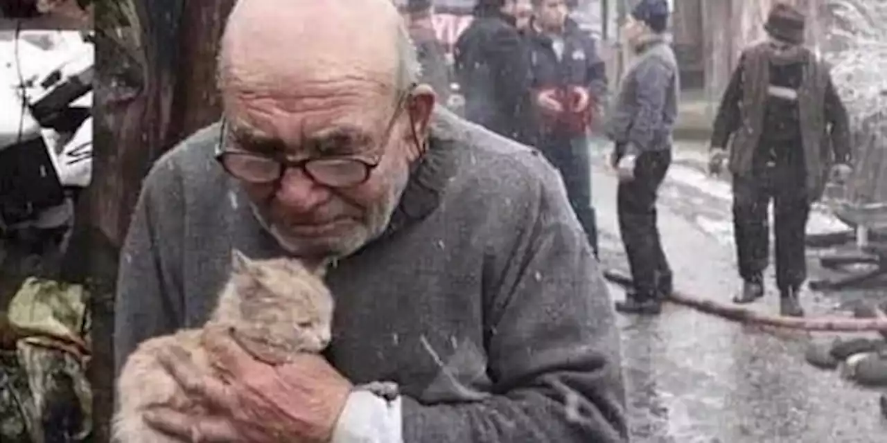 CEK FAKTA: Foto Seorang Kakek Gendong Kucing Bukan Korban Serangan Rusia di Ukraina | merdeka.com