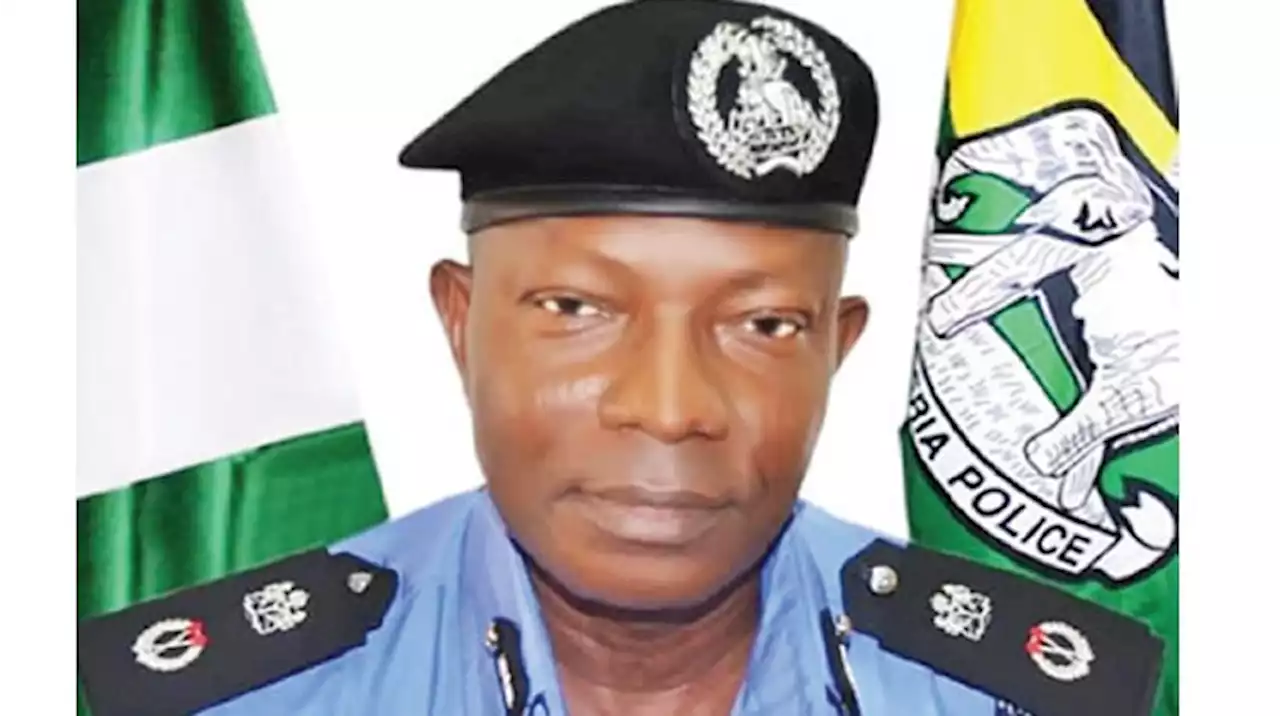 Two Kwara brothers remanded for exhuming father’s corpse for ritual - Punch Newspapers