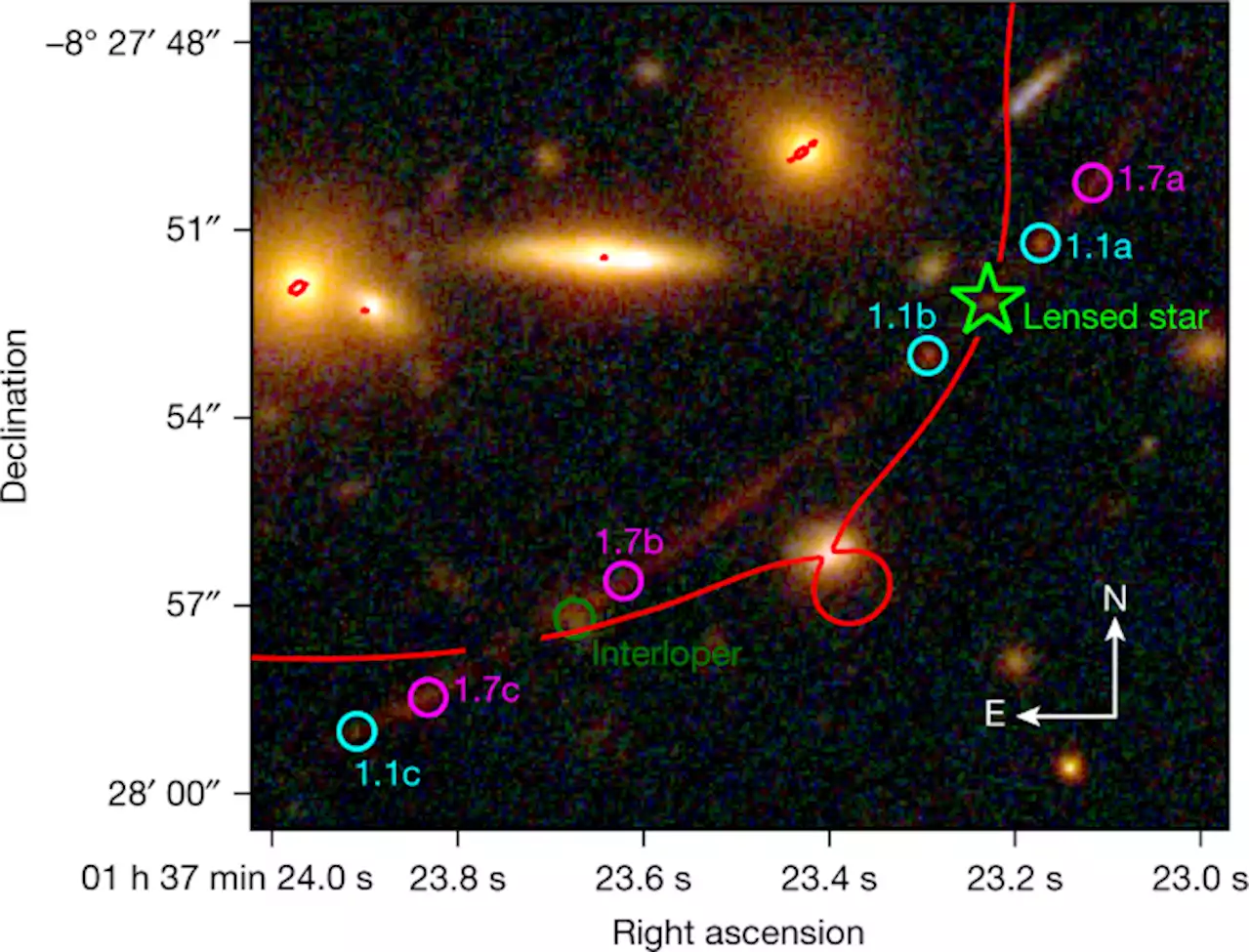 A highly magnified star at redshift 6.2 - Nature