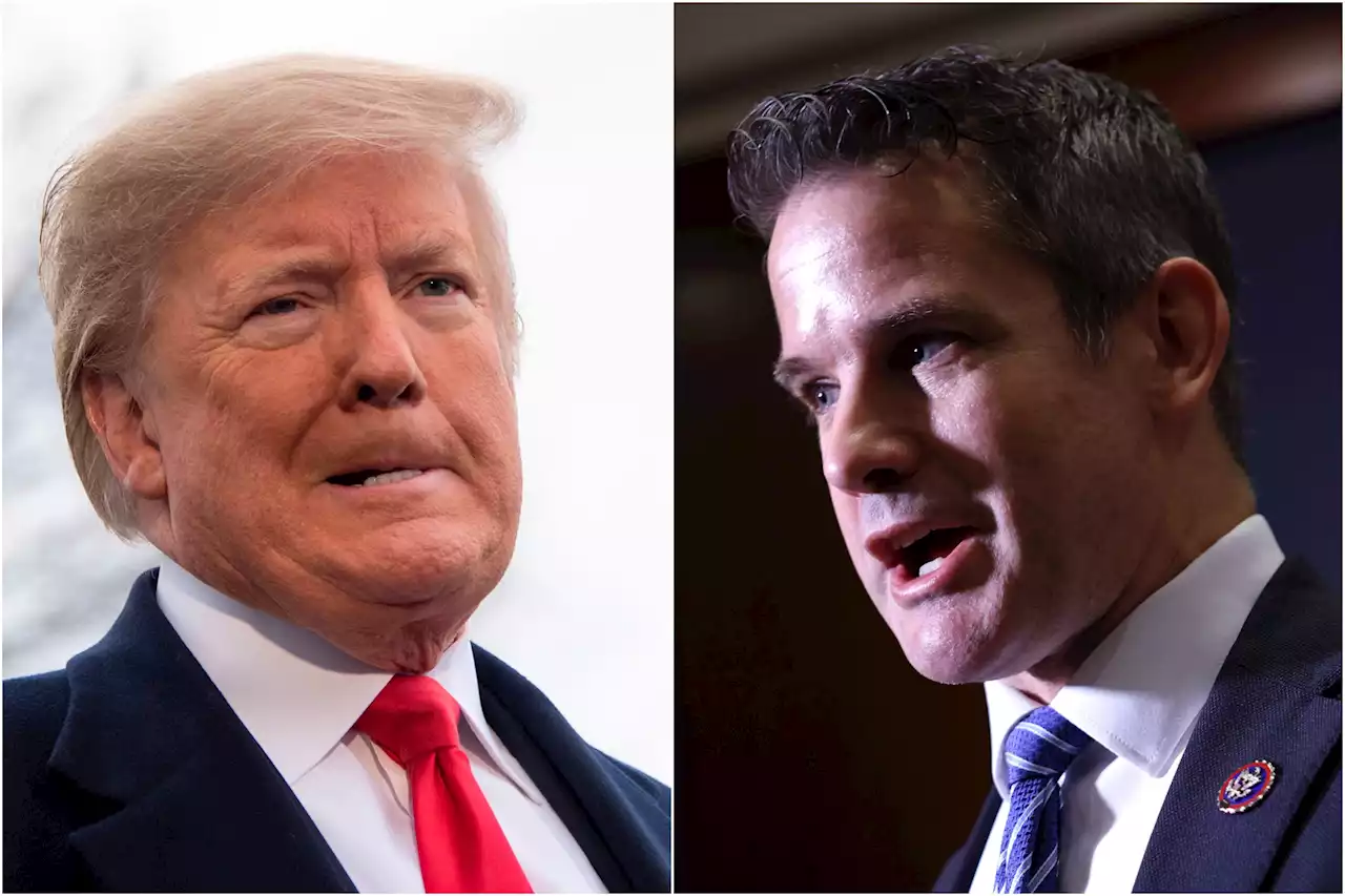 Adam Kinzinger: Disqualify Donald Trump in 2024 for asking Putin a favor