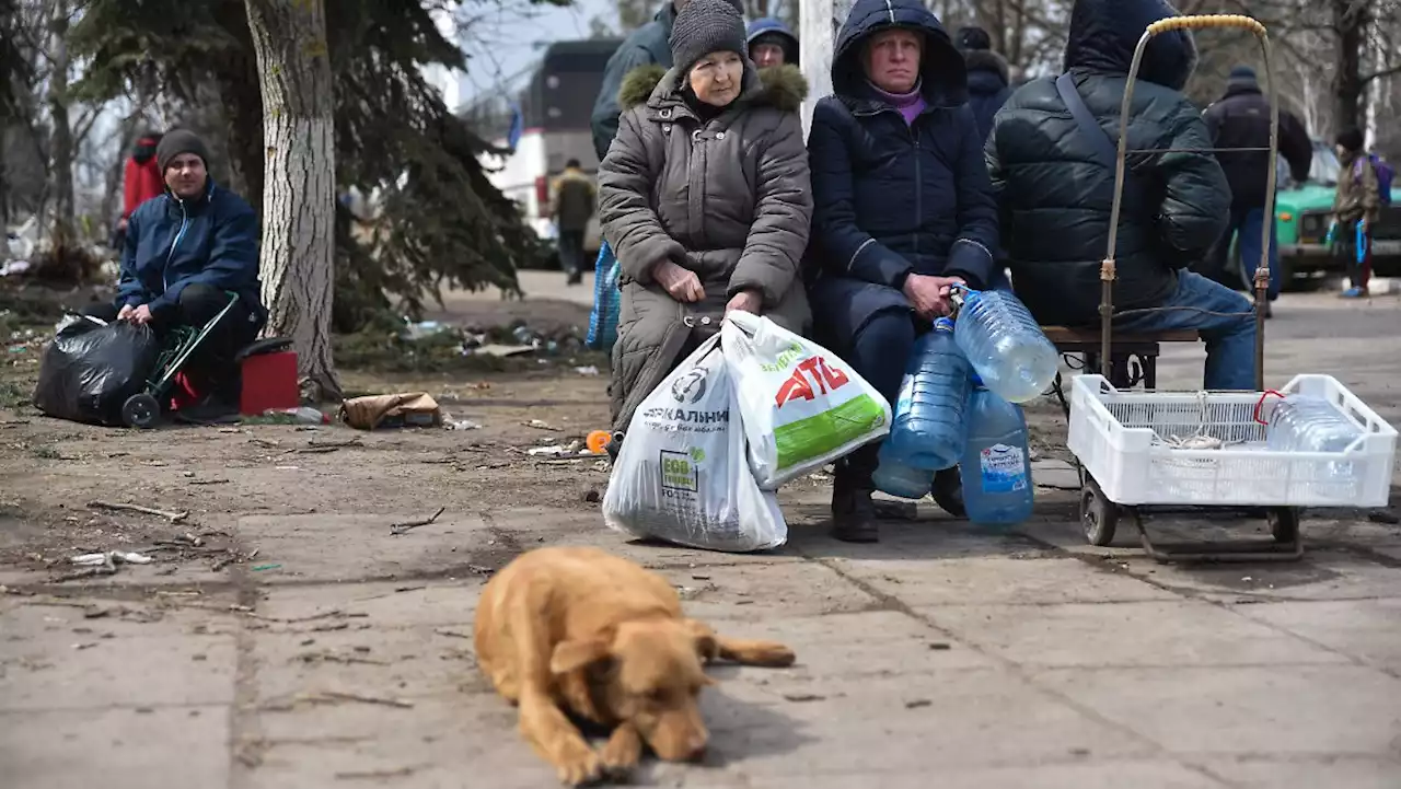 Russland verkündet Feuerpause für Mariupol