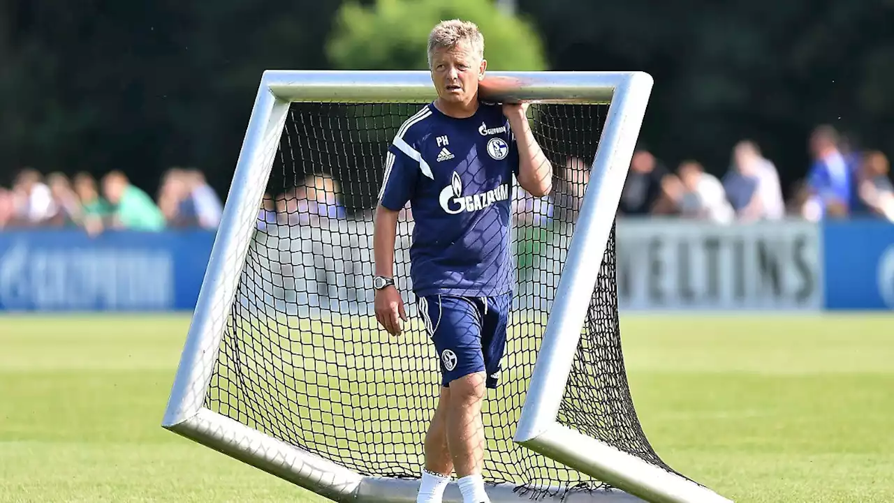 Schalke 04 schnappt sich prominenten Co-Trainer