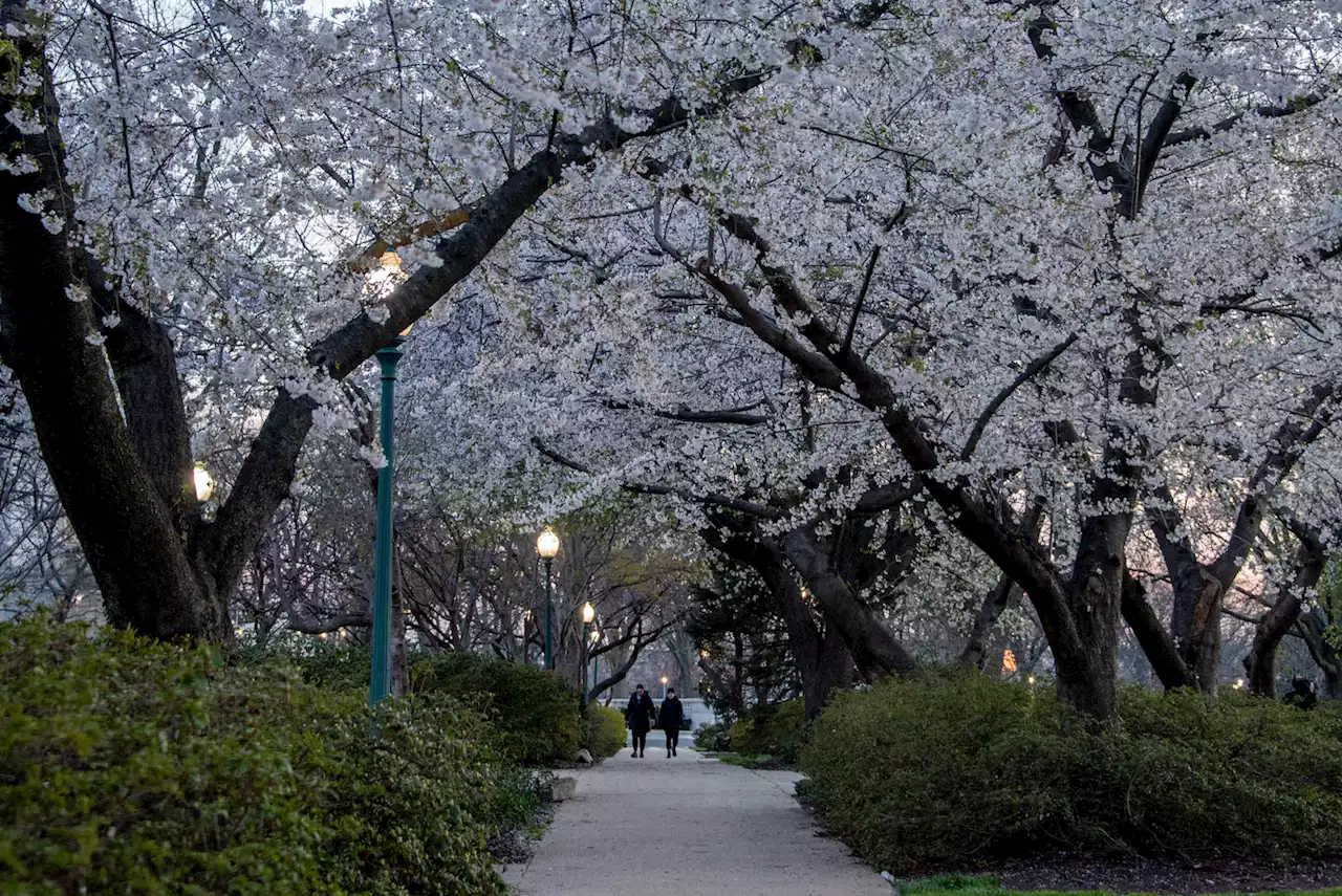 D.C.-area forecast: Windy and warmer today with severe storms possible late