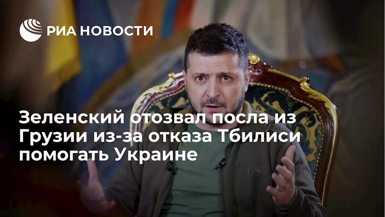 Зеленский отозвал посла из Грузии из-за отказа Тбилиси помогать Украине