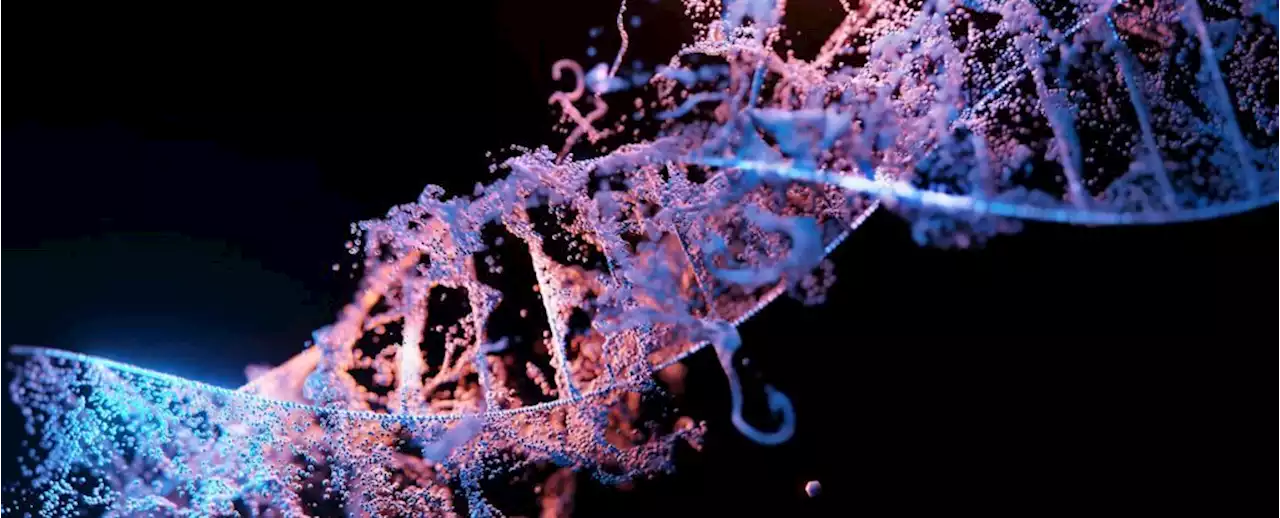 Scientists Just Unveiled The Most Complete Human Genome of All Time, And It's Glorious