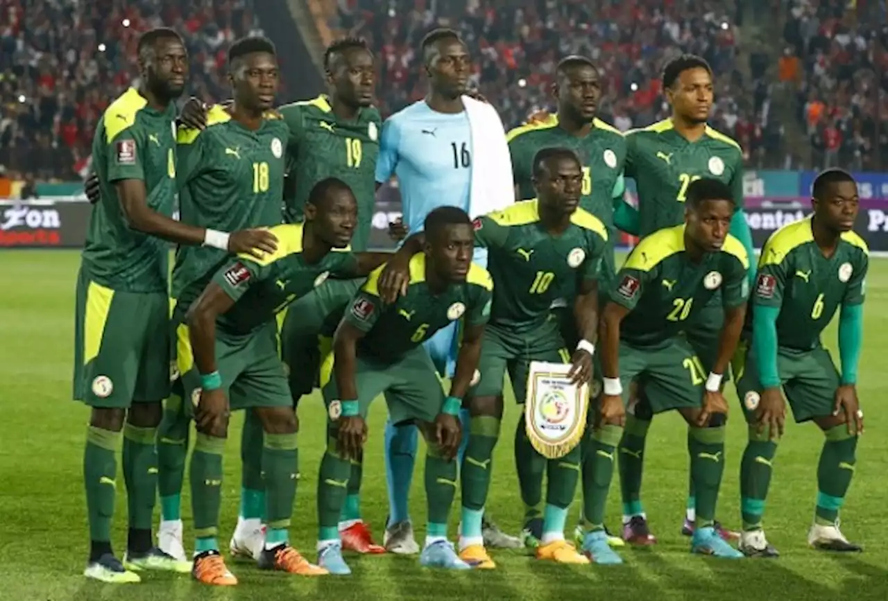 Latest FIFA Rankings: 10 Highest-Ranked African Nations