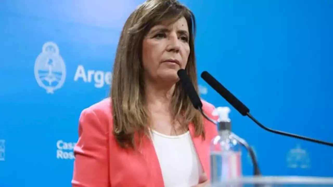 Gabriela Cerruti: 'El Gobierno puede garantizar que no va a faltar gas en invierno'