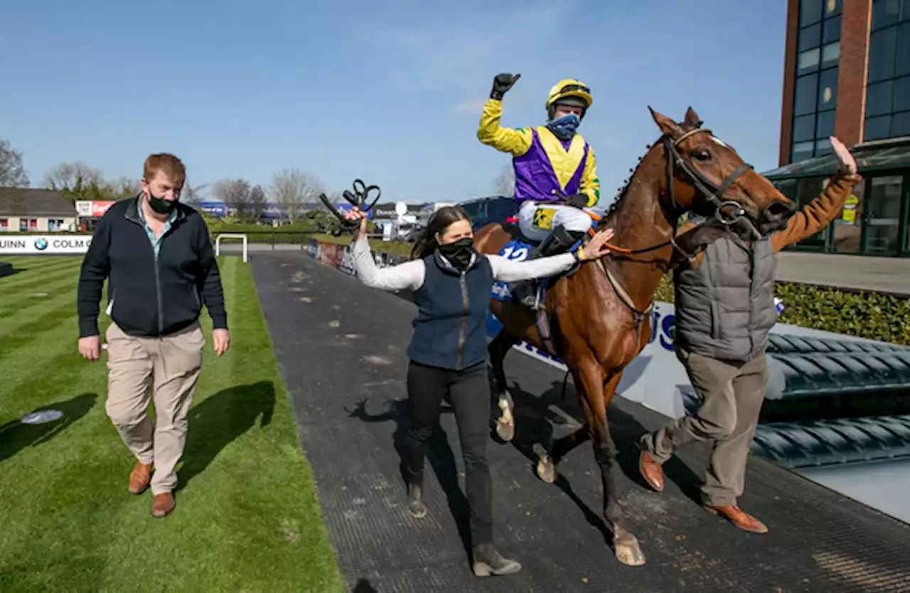 'Shark' Hanlon thrilled to keep Grade One-winner Skyace in his yard