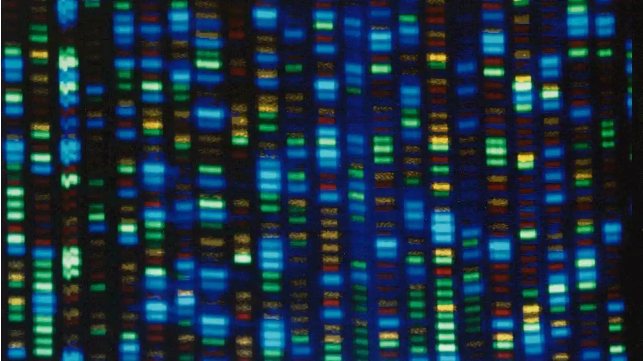 Scientists finally finish decoding entire human genome