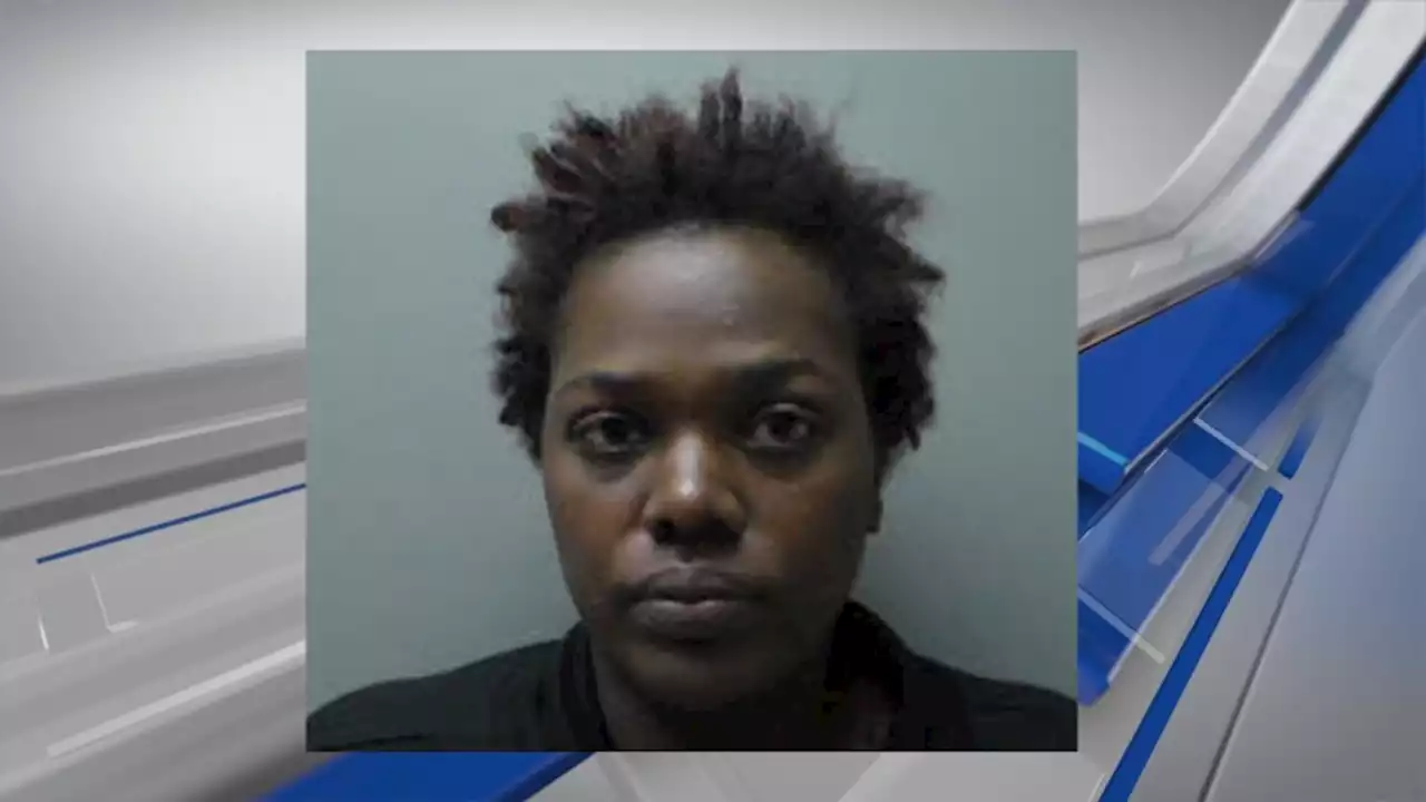 Woman arrested after Troy bank robbery, police chase