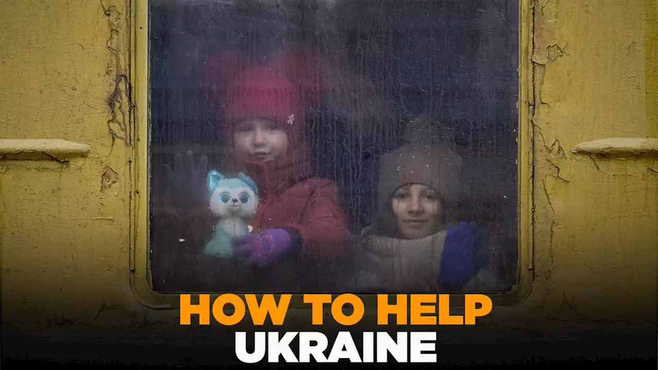 LIVE: How to help Ukraine amid Russian attacks