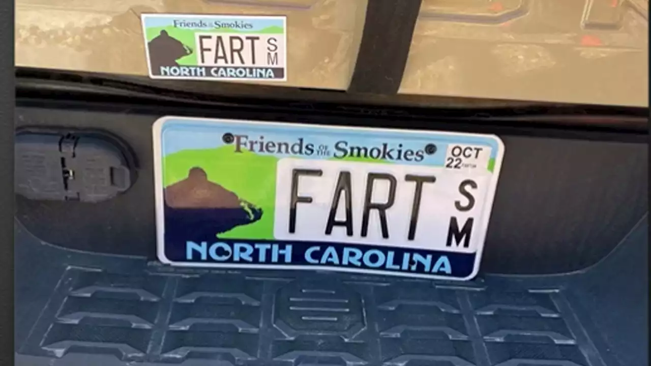 North Carolina woman fights to keep her 'FART' license plate