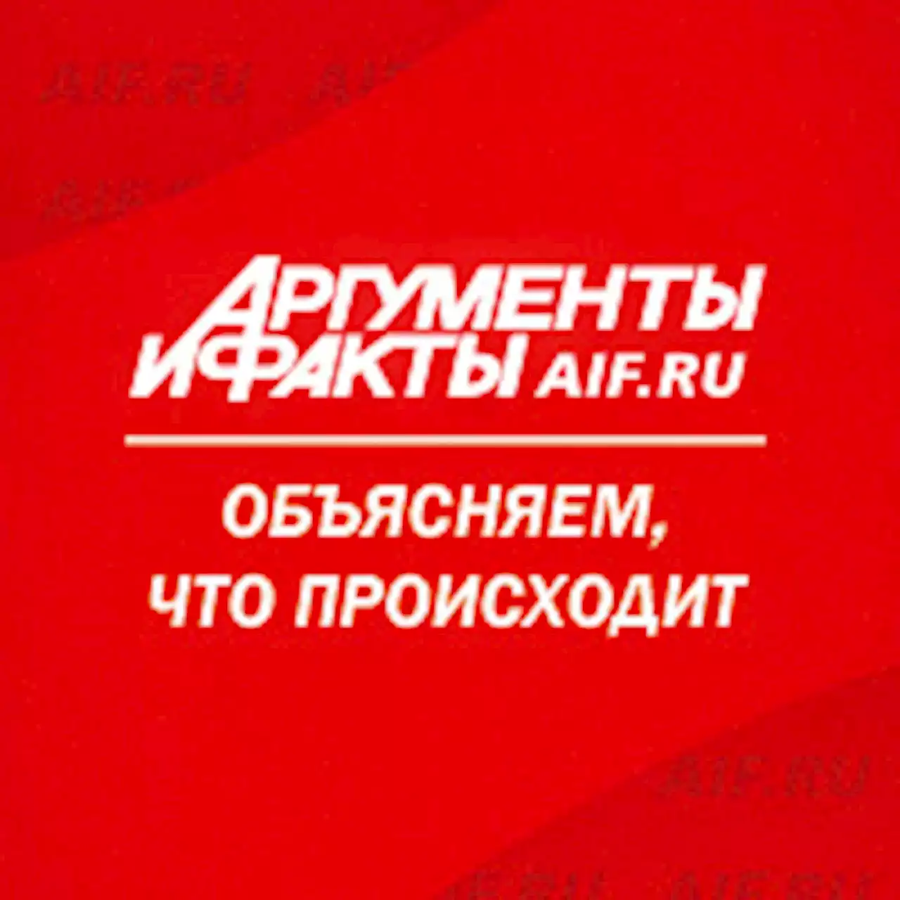 Что за история с арестом друга Хабиба за самосуд и покушение на убийство?