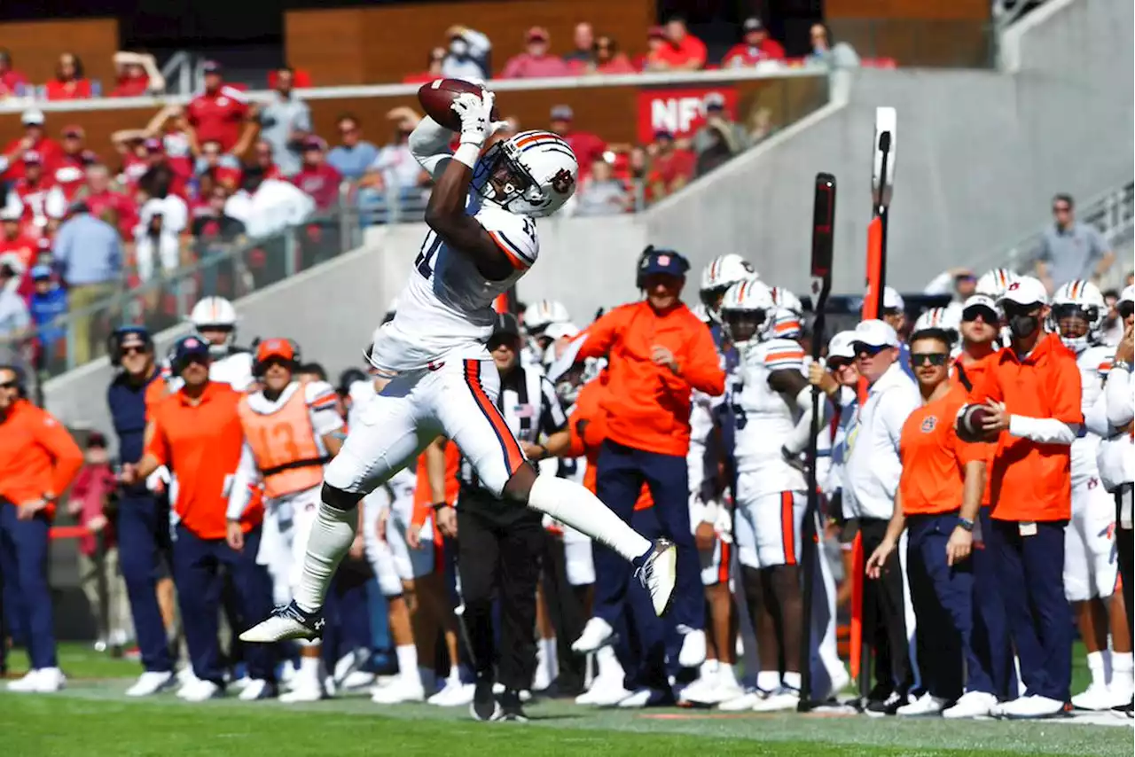 Thin group at wide receiver must prove itself for Auburn this spring