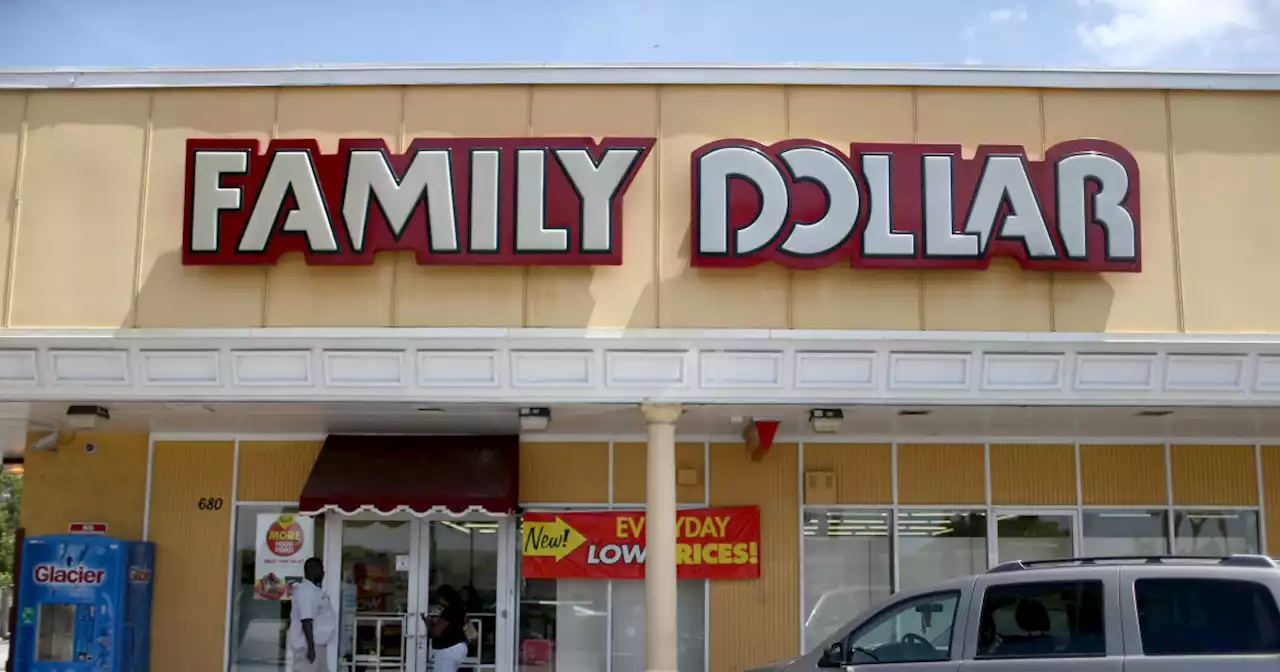 'Rat carcasses on the conveyor belt': Inside Family Dollar's rodent-infested warehouse