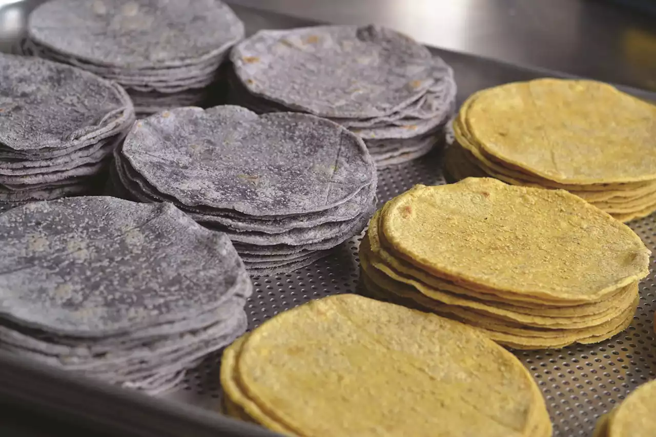 The best tortillas are made with Michigan (and Mexican) corn - Chicago Reader