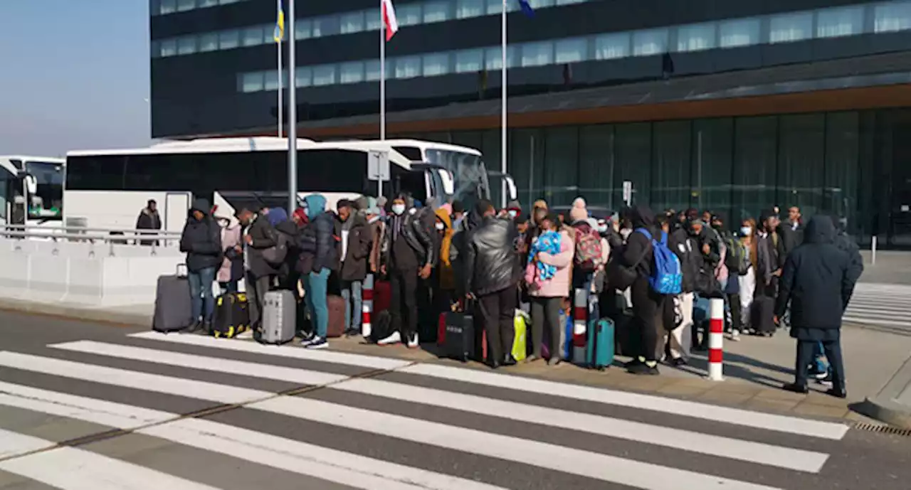 Ukraine: First batch of Nigerians arrives Abuja
