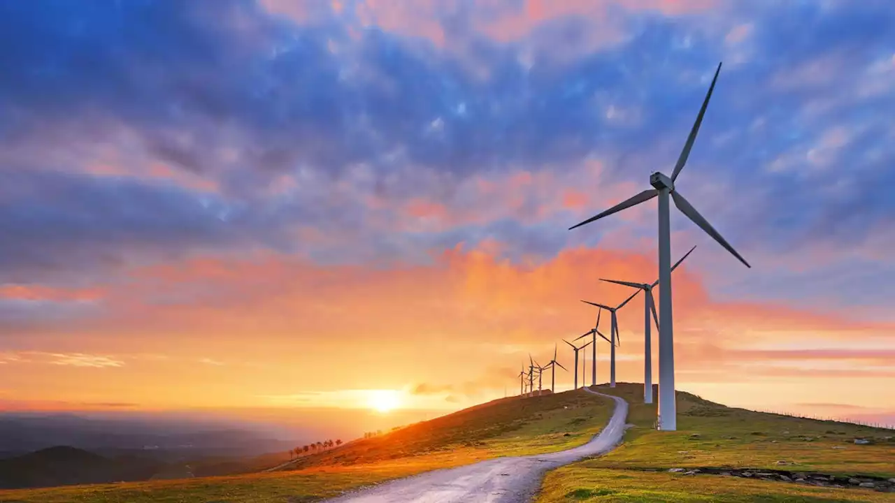 Here comes the sun: Wind, solar power account for record 13% of U.S. energy in 2021