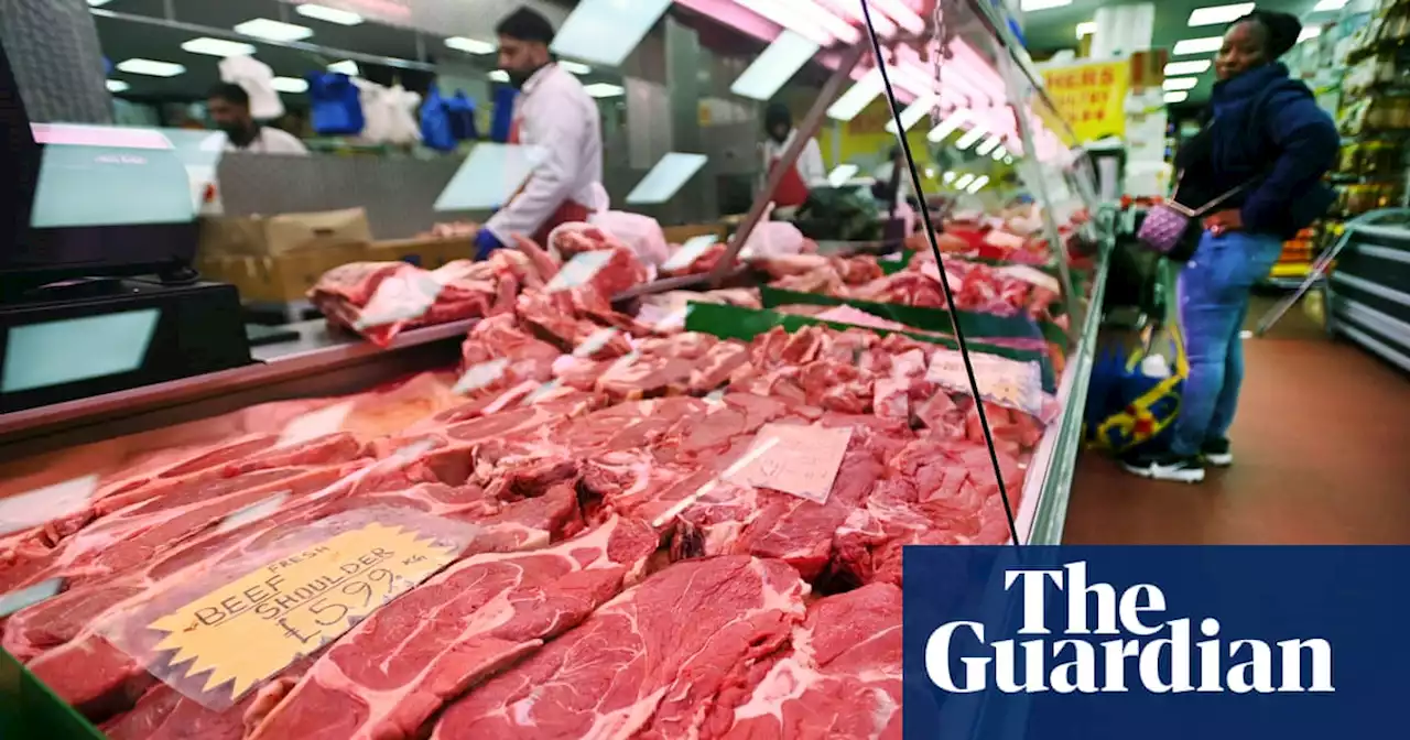 Weight-loss techniques can halve meat consumption, Oxford trial finds