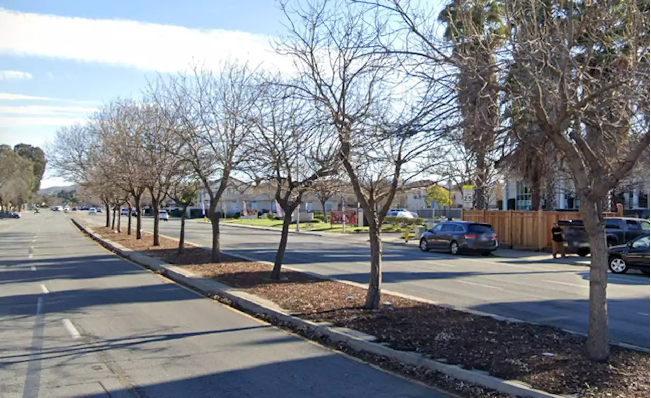 San Jose: Truck driver dies after veering off roadway and crashing into tree