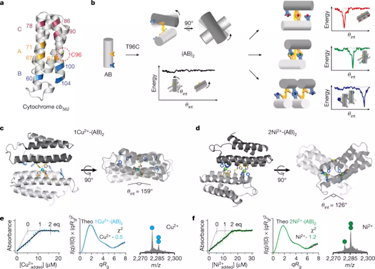 Overcoming universal restrictions on metal selectivity by protein design - Nature