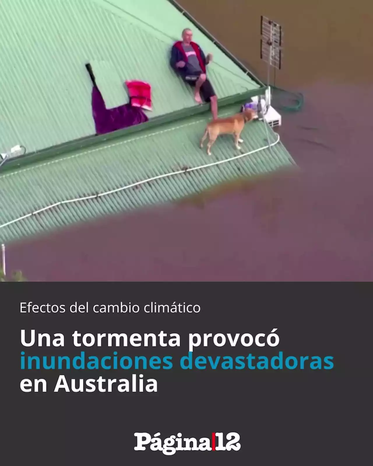 Efectos del Cambio Climático: 200 mil personas evacuadas por un temporal arrasador en Australia | Sidney, donde viven 5 millones de personas, está en alerta