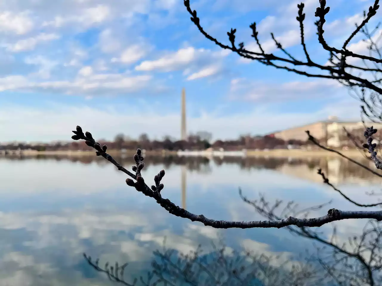 D.C.-area forecast: Chilly with comforting sunshine today, then turning much warmer this weekend