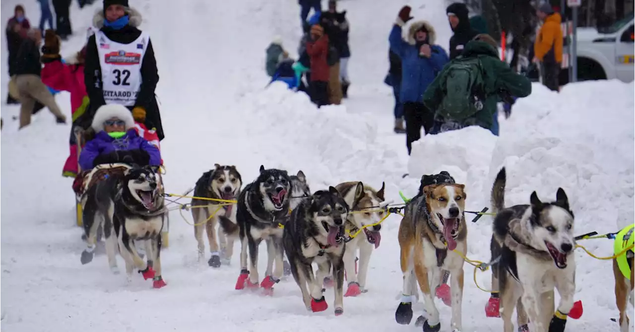 With a nod to climate change, Alaska's Iditarod marks its 50th running