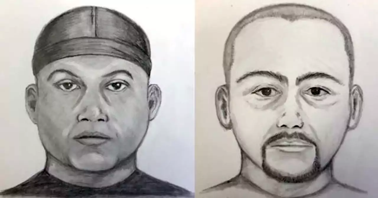 Sketches released of men who tried to lure children in Spring Valley area