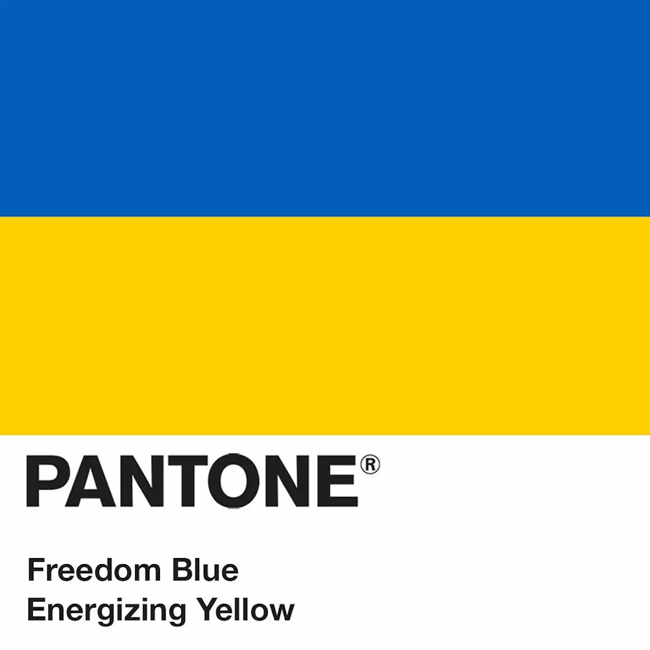 Guerra Russia Ucraina, l’omaggio di Pantone alla bandiera di Kiev