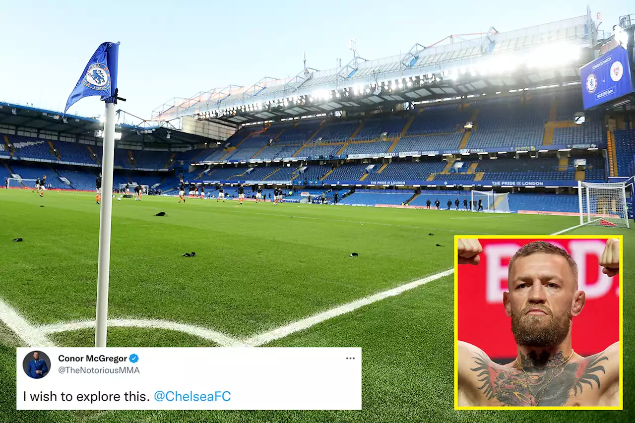 Terry responds to McGregor's suggestion he wants to buy Chelsea from Abramovich