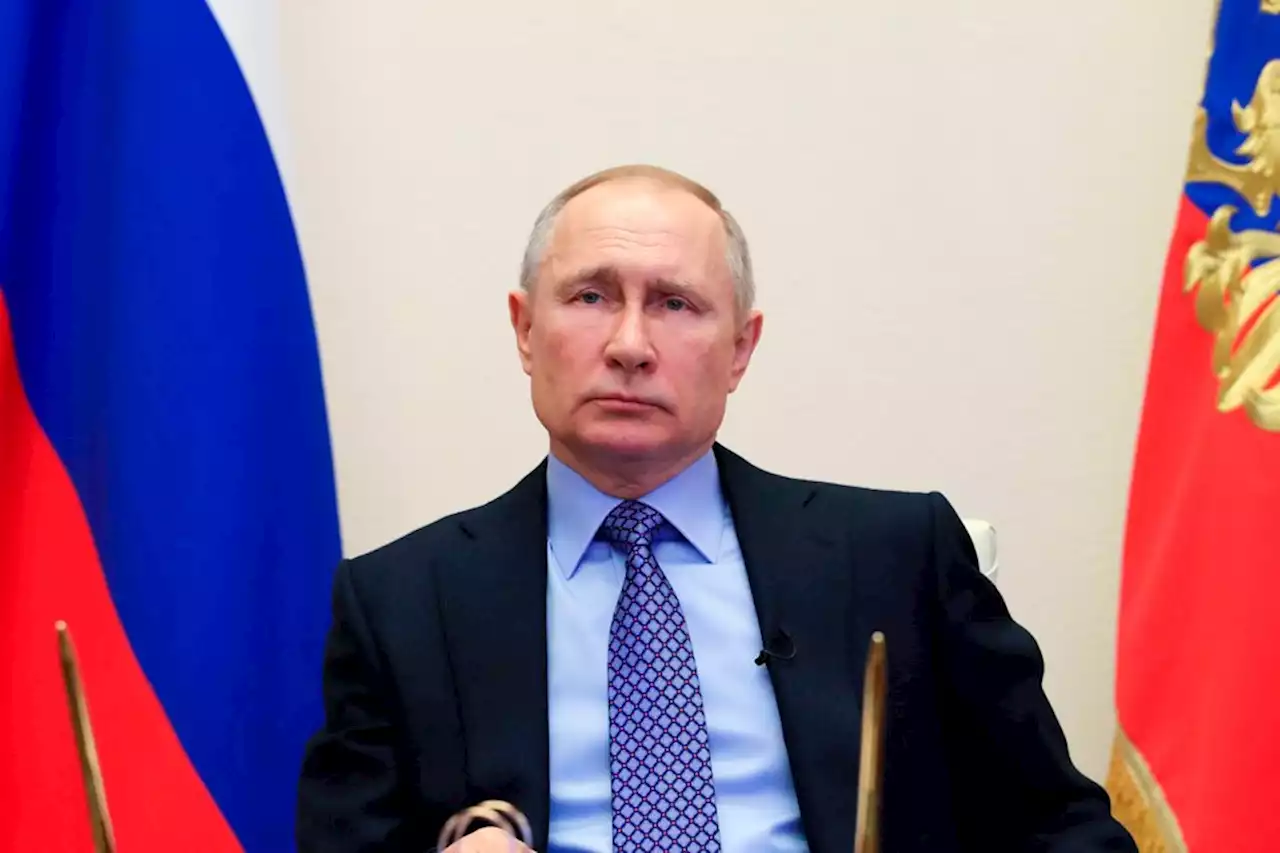 Bot que rastreia avião de Elon Musk tem novo alvo: Vladimir Putin