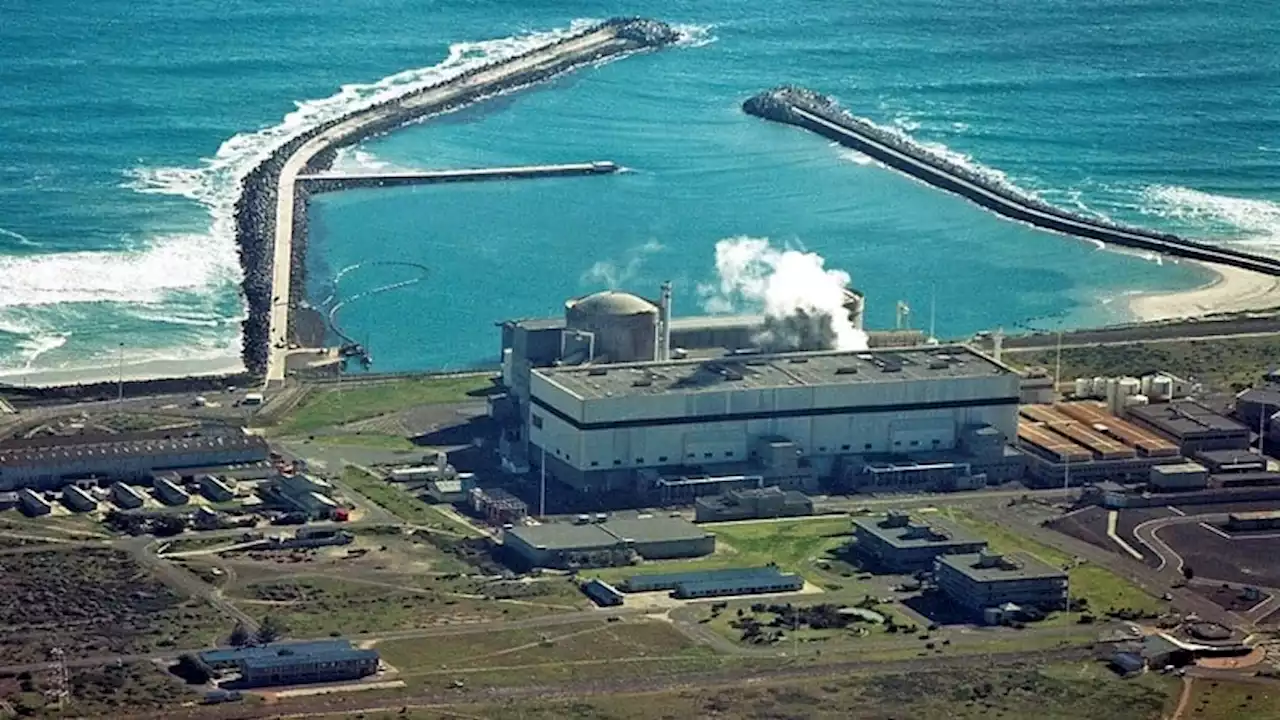 Eskom delays replacement of Koeberg steam generators to avoid load shedding risk