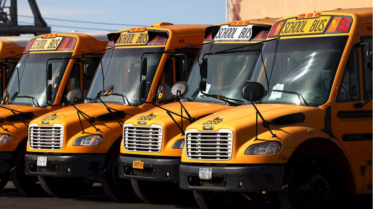 School Bus Driver Accused of Paying Kids $5 in Exchange for Mouth Swabs