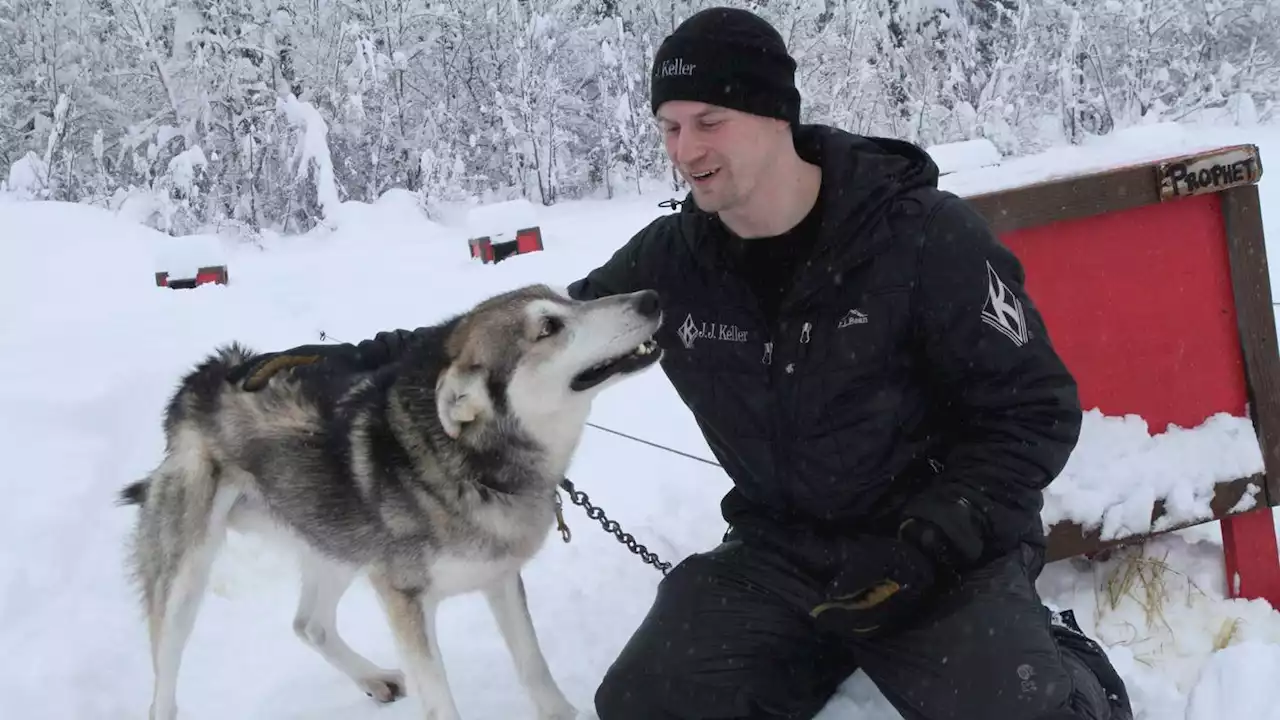 Alaska musher on brink of becoming Iditarod’s best ever