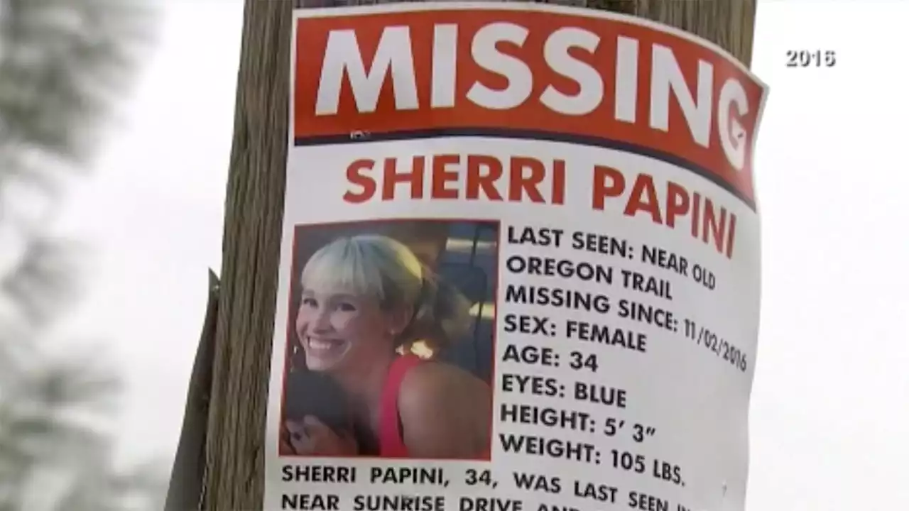 Family of Sherri Papini, accused of faking 2016 kidnapping to live with ex, 'appalled' by arrest