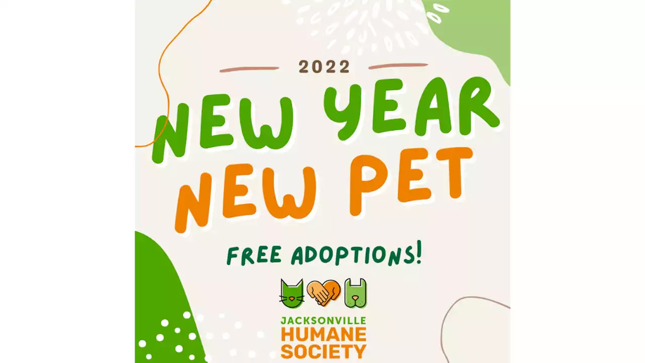 Jacksonville Humane Society hosts large-scale pet adoption event for National Adoption Weekend